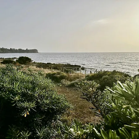 Apartman Genari Sea View For Couples Or Small Families